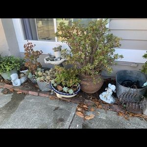 Meet your Posher, Ilwu